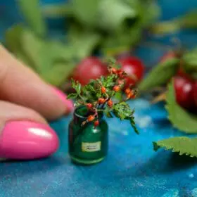 TUTORIAL Miniature rosehip sprig with air dry clay