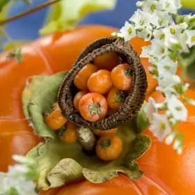 TUTORIAL Miniature persimmon with polymer clay