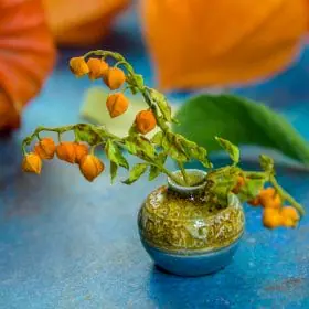 TUTORIAL Miniature physalis with air dry clay