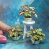 TUTORIAL miniature stromanthe plant with polymer clay