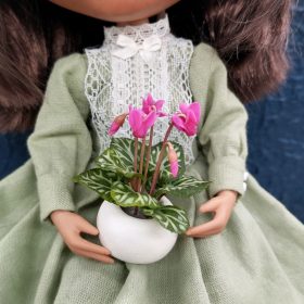 miniature flowers in pot