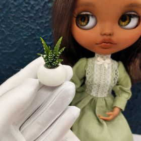 miniature succulents handmade
