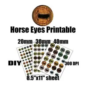 Realistic Horse Eyes Printable
