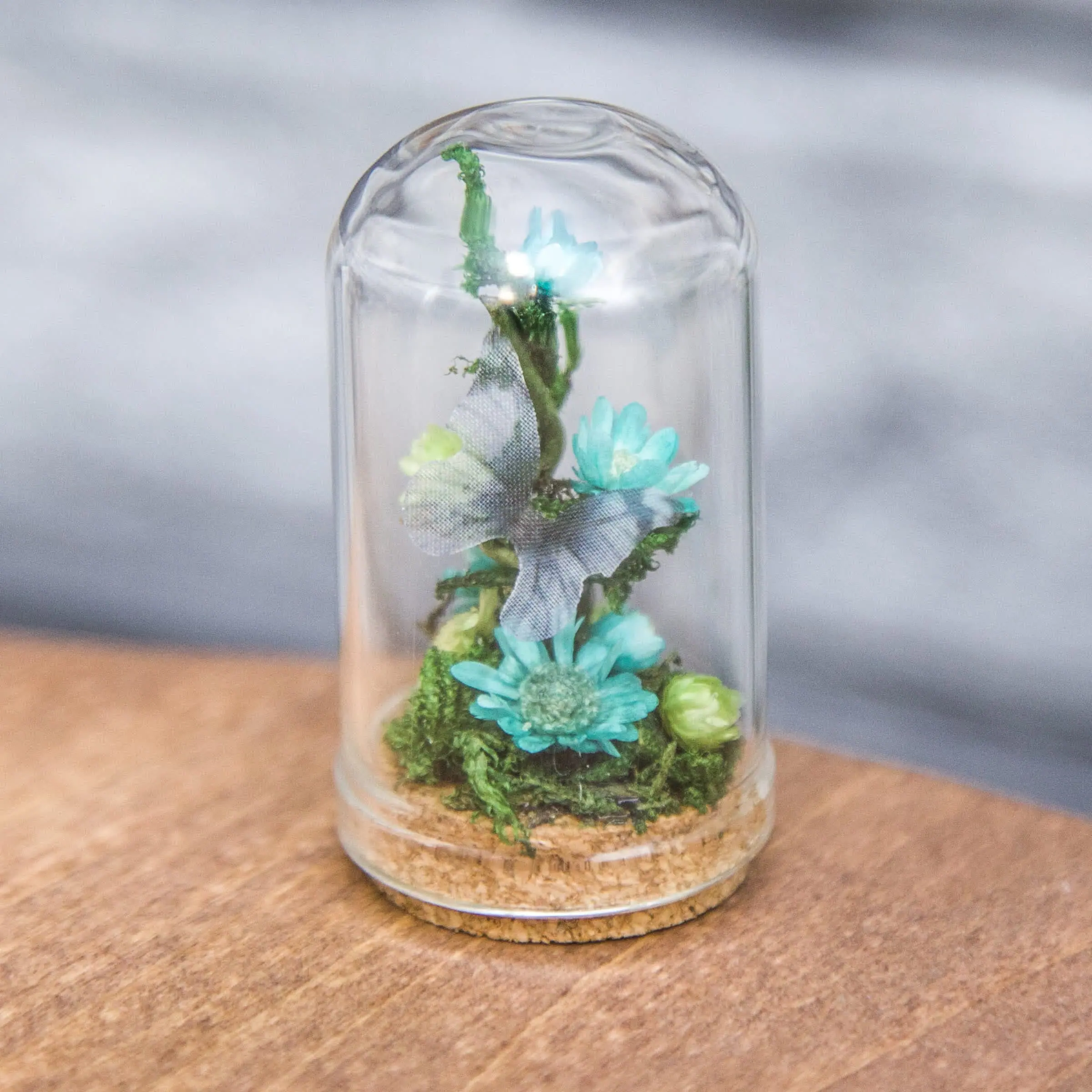 Glass cloche, with dried flowers, moss and butterfly #3 11 2.jpg