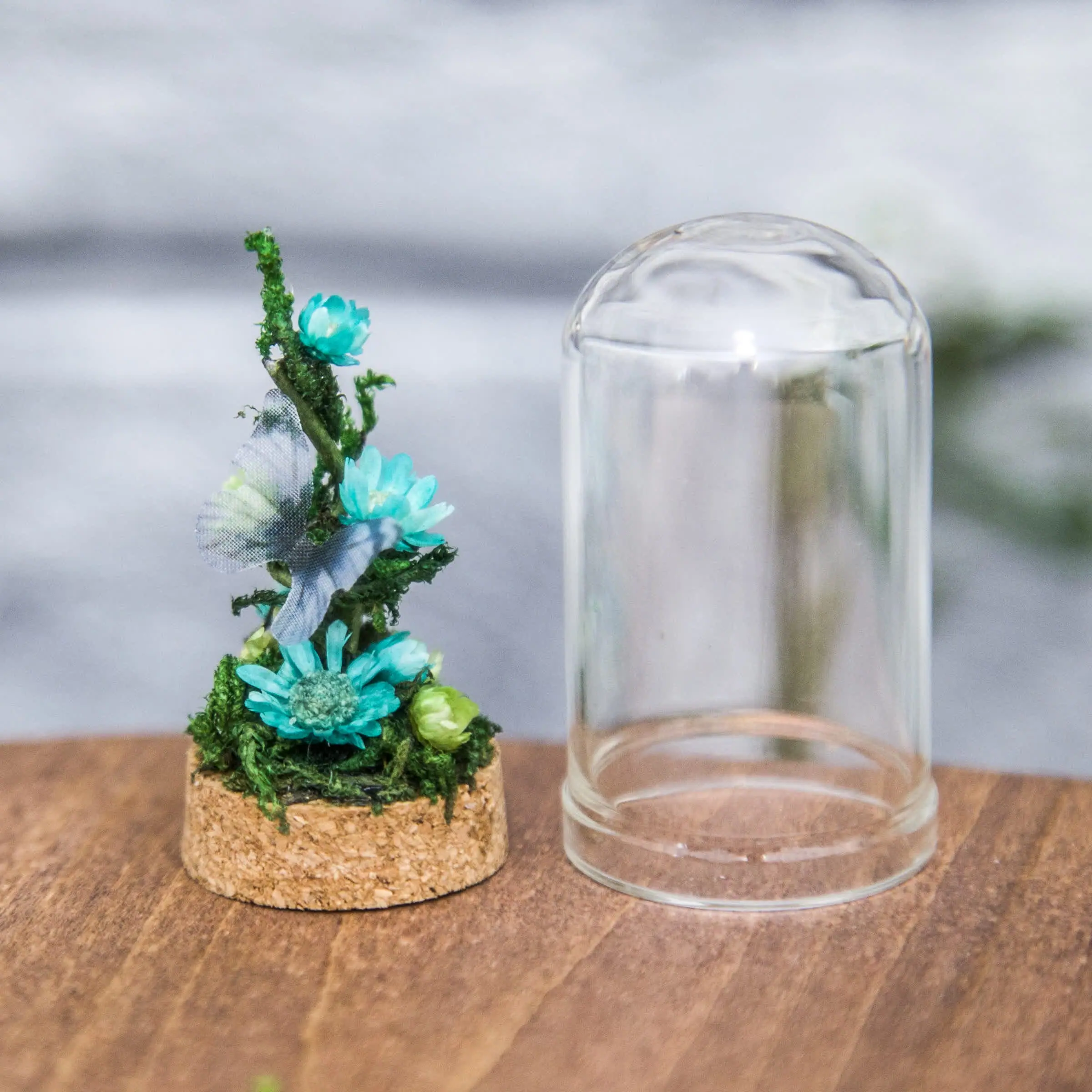 Glass cloche, with dried flowers, moss and butterfly #3 10 3.jpg