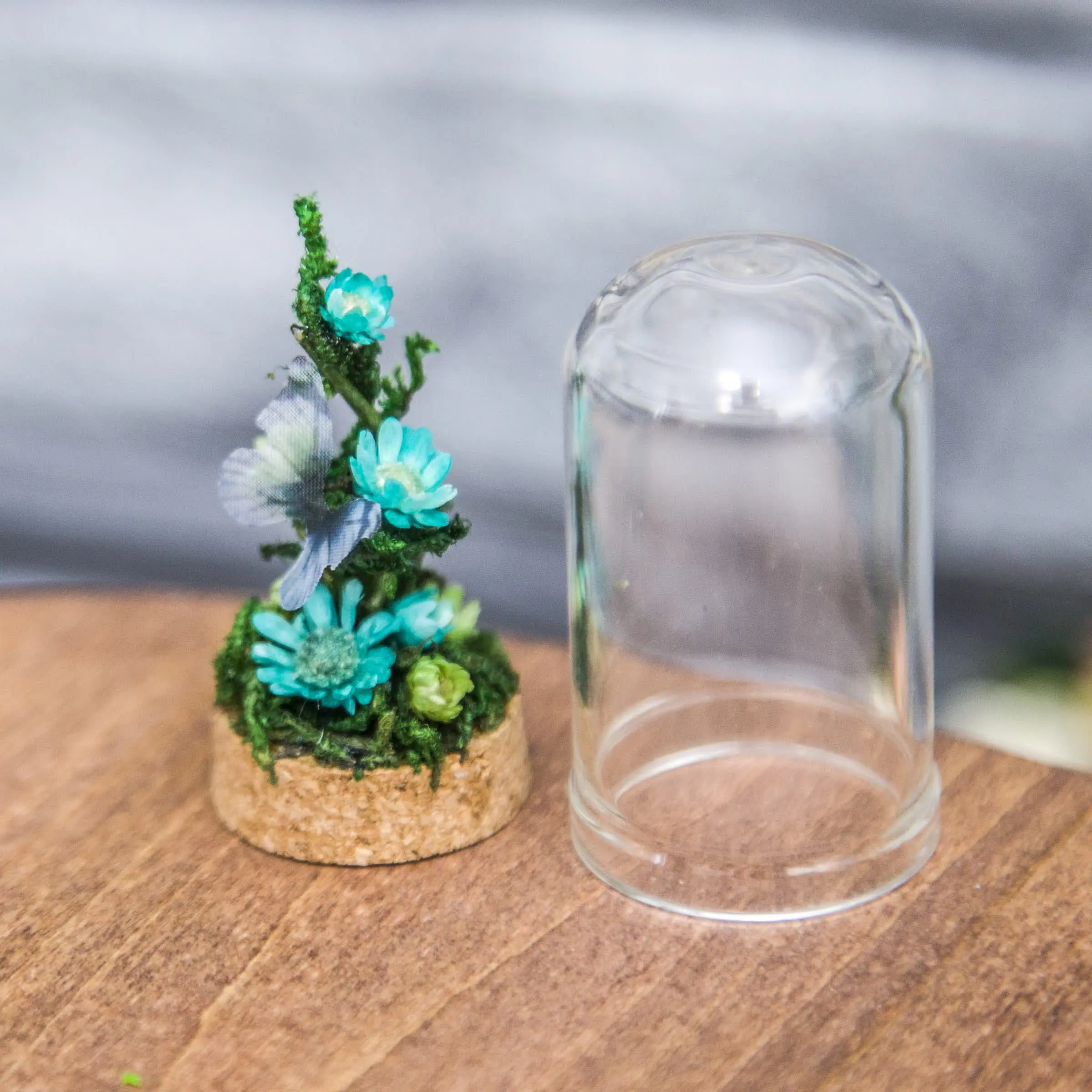 Glass cloche, with dried flowers, moss and butterfly #3 9 4.jpg