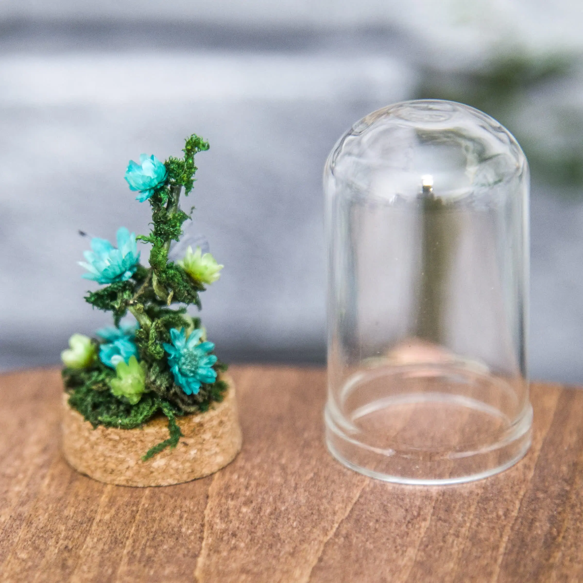 Glass cloche, with dried flowers, moss and butterfly #3 8 5.jpg