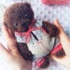 cute teddy bear