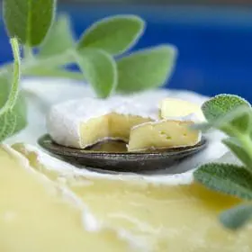 TUTORIAL Miniature Camembert cheese with polymer clay
