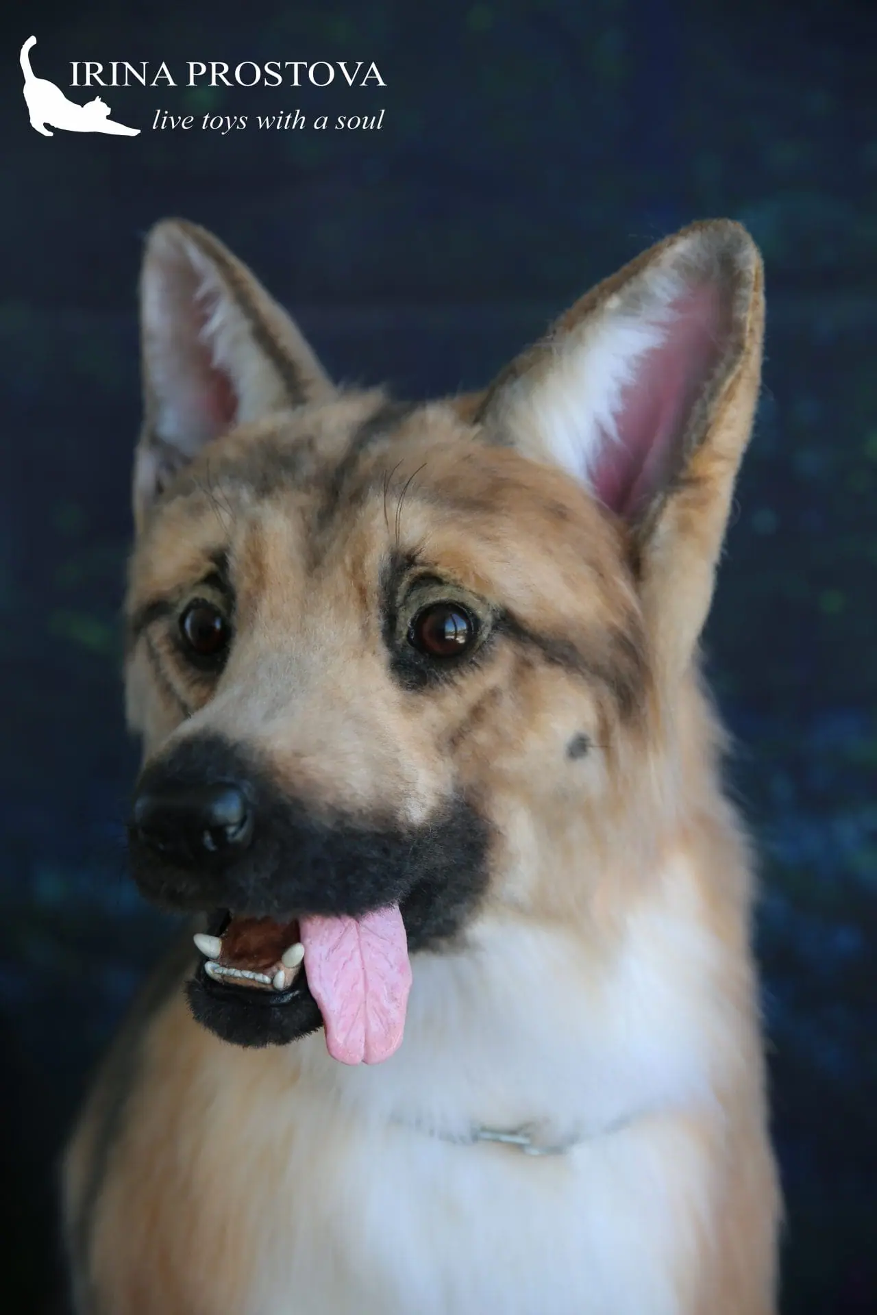 German shepher, realistic toy (for example, for order) 7 1s5a1329.jpg
