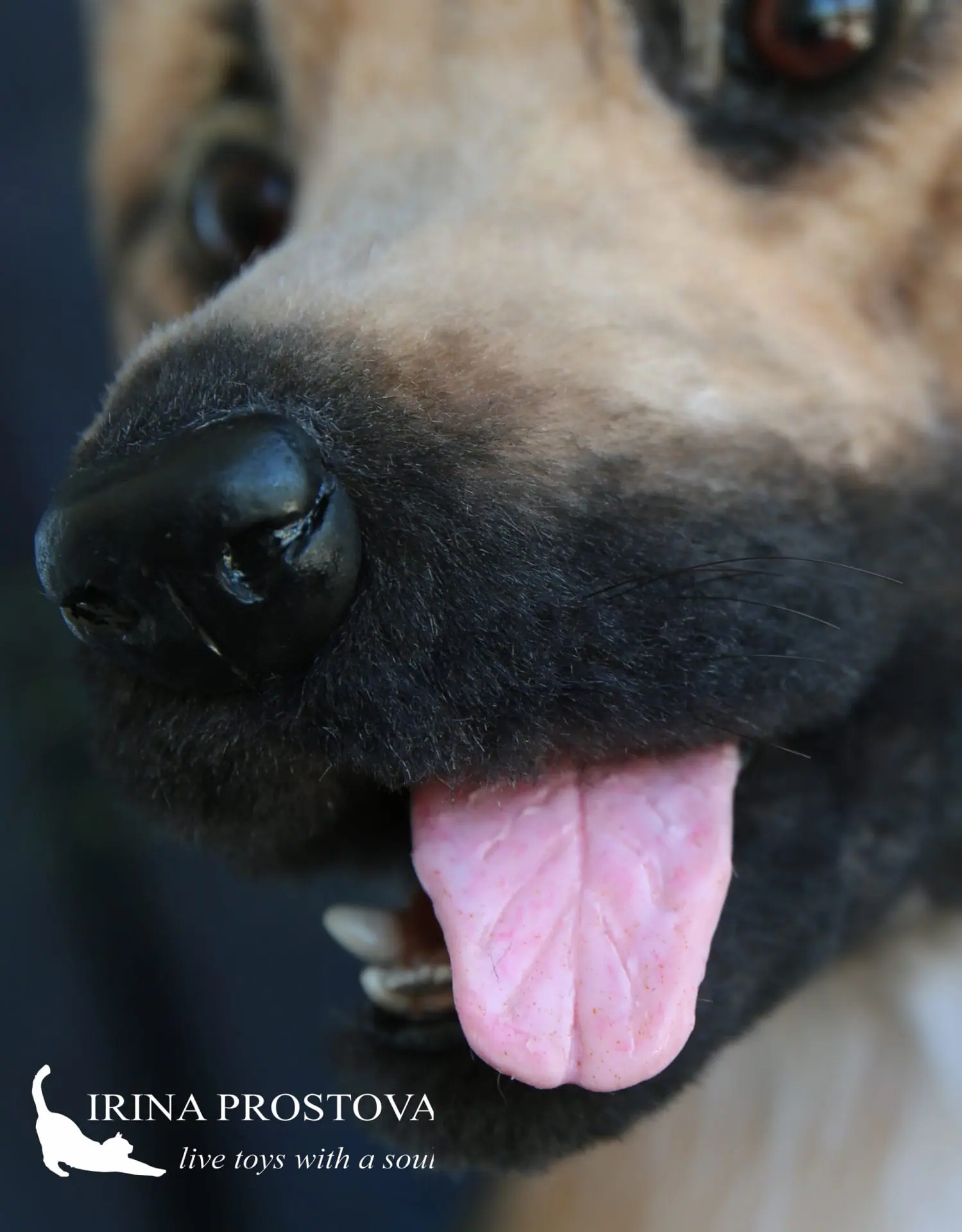 German shepher, realistic toy (for example, for order) 5 1s5a1355 1.jpg
