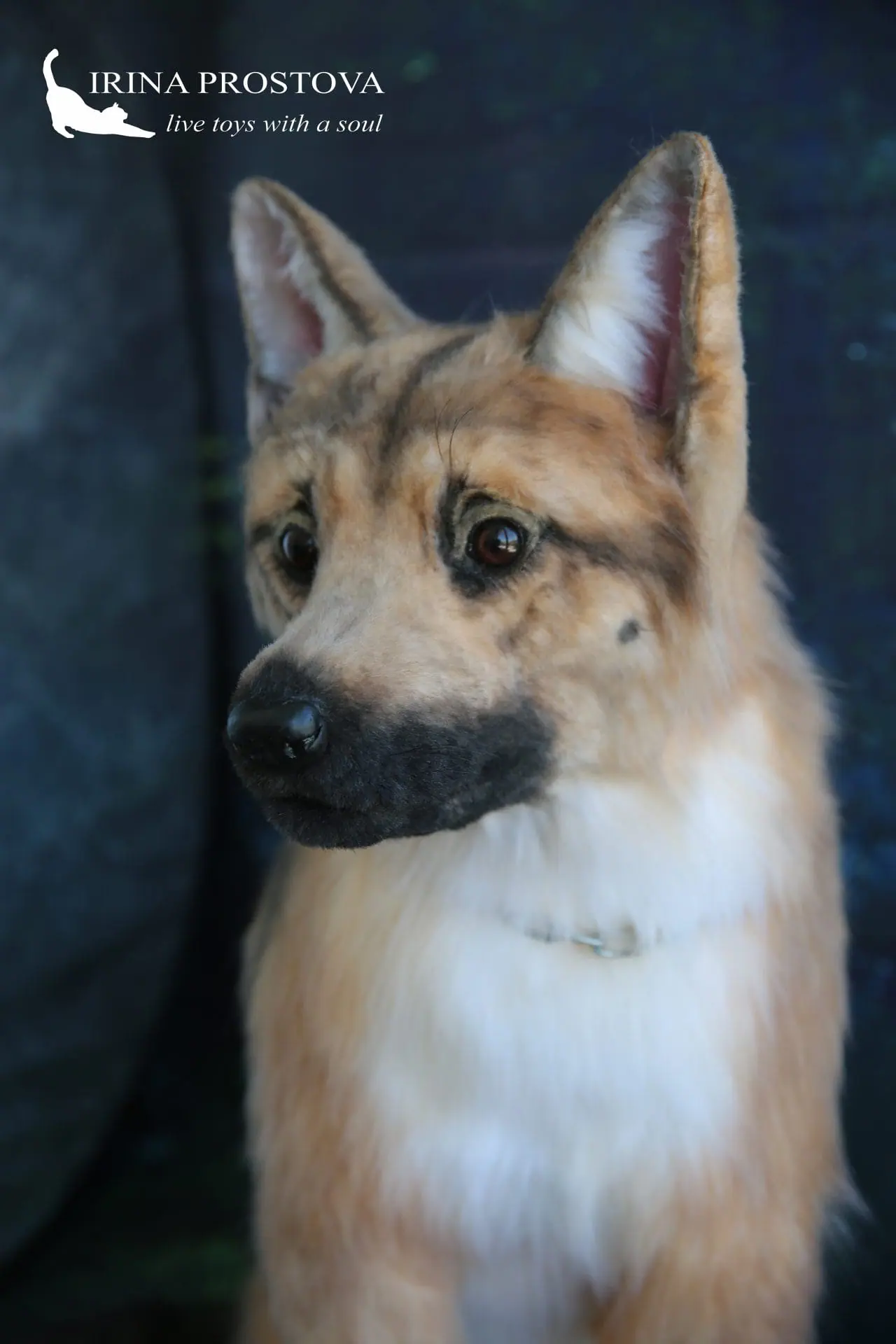 German shepher, realistic toy (for example, for order) 4 1s5a1390.jpg