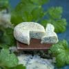 TUTORIAL Miniature blue cheese with polymer clay