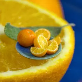 TUTORIAL Miniature orange fruit with polymer clay