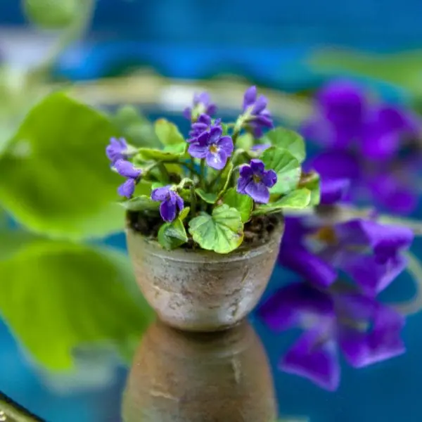 TUTORIAL Miniature wild pansies with air dry clay
