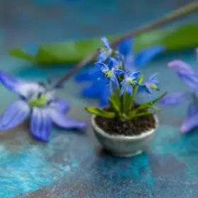 TUTORIAL Miniature wood squill with air dry clay