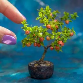 TUTORIAL Miniature apple tree with polymer and air dry clay