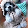 handmade teddy bear