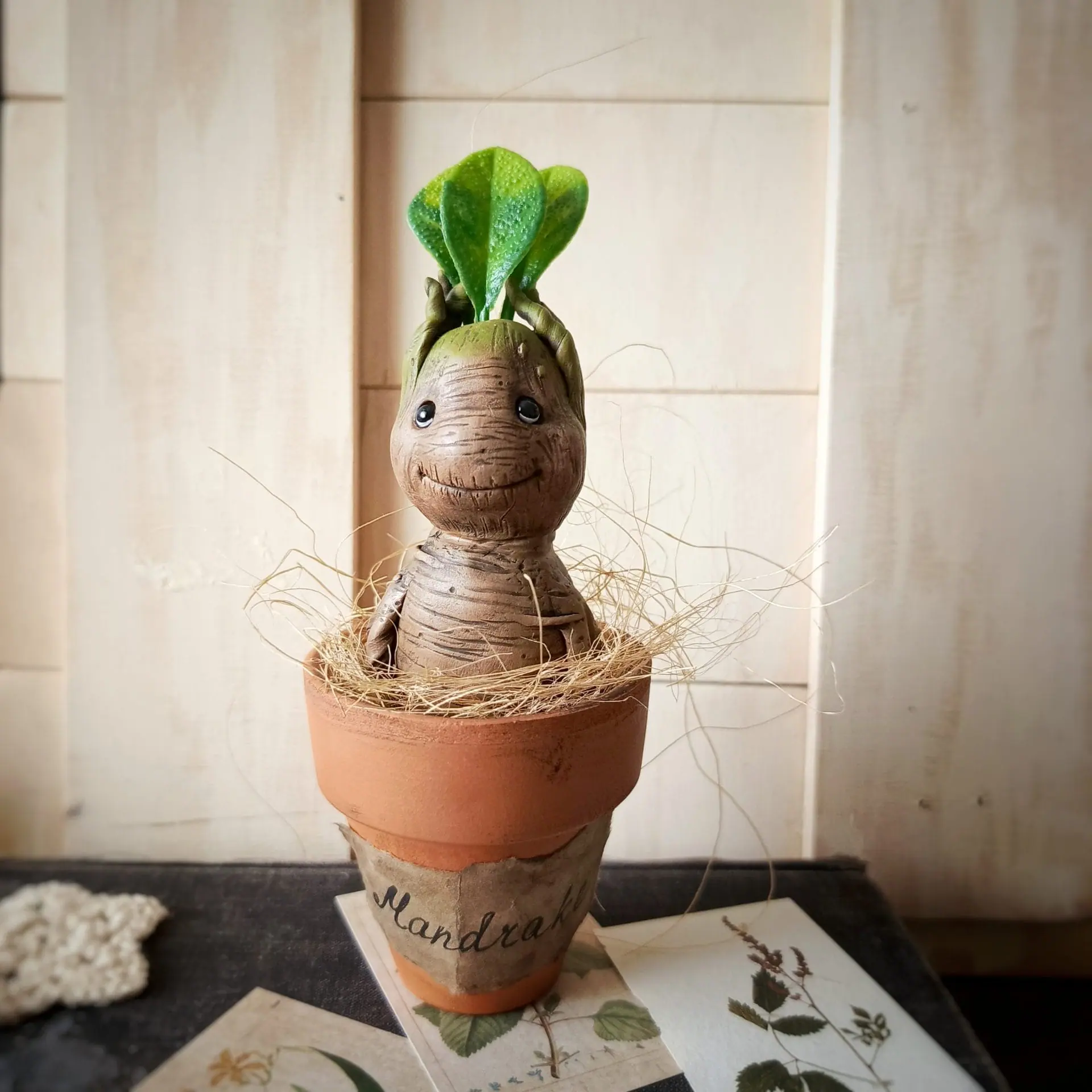 Mandrake with pot - DailyDoll Shop