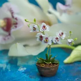 TUTORIAL Miniature orchid with air dry clay
