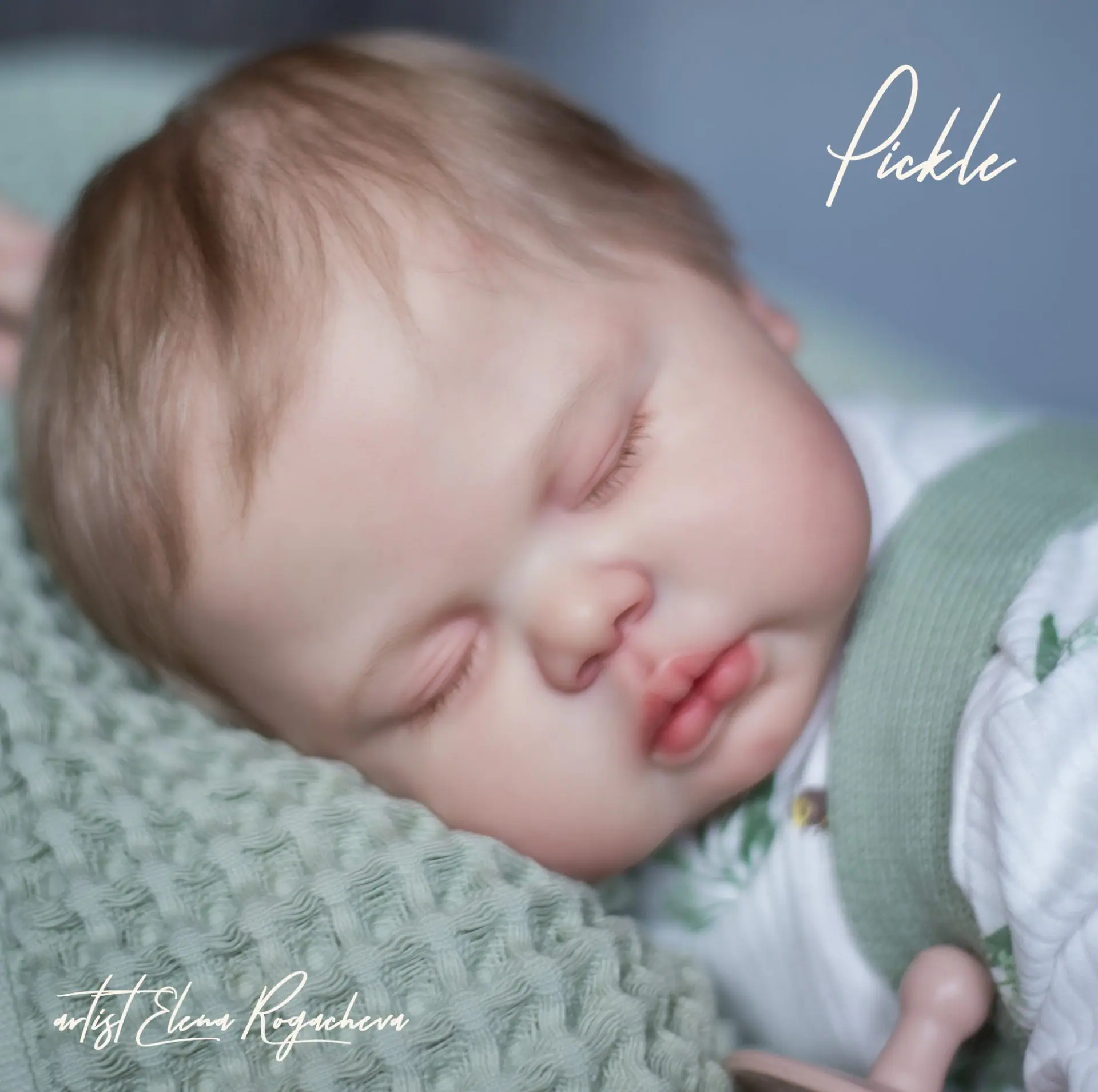 Reborn doll Pickle (25