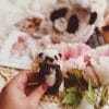 Handmade toy. Panda toy. Panda Teddy. Teddy bear story.