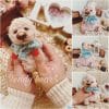 Teddy Bear, Teddy bear with a bow, Memory bear, Teddy bear artist