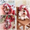 Handmade snowman Teddy style. Christmas gift for friend. Pocket friend.