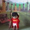 A wizard boy in a Quidditch uniform.