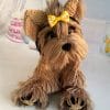 crochet york dog