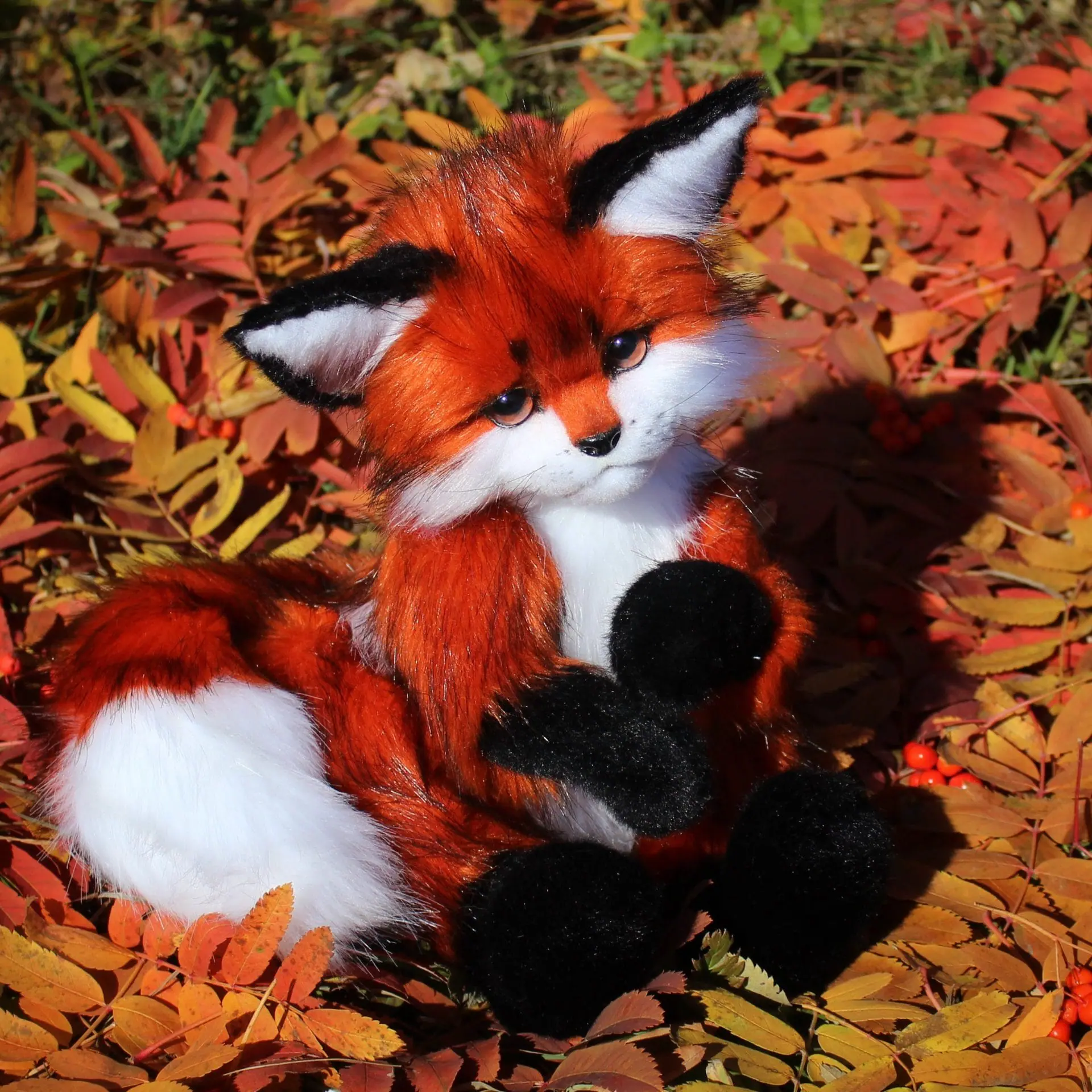 pattern video lesson toy fox cub 4 img 22482.jpg