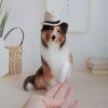 Miniature realistic crochet Rough Collie Sable - Lassie