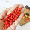 miniature tomato