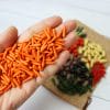 Miniature carrot 1:12 Miniature Vegetables