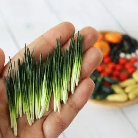 Miniature green Onion 1:12 Miniature Vegetables