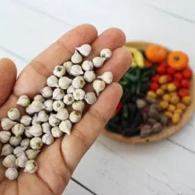 Miniature garlic 1:12 Miniature Vegetables