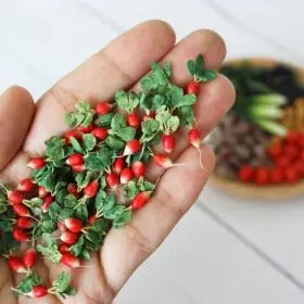 Miniature Radish 1:12 Miniature Vegetables Realistic miniatures food for dolls