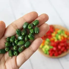 Miniature Green Pepper 1:12 Miniature Vegetables Miniature pepper Miniature farmer Realistic miniatures food for dolls