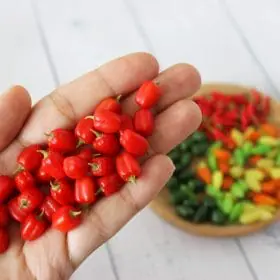 Miniature Red Pepper 1:12 Miniature Vegetables Miniature pepper Miniature farmer Realistic miniatures food for dolls