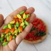 Miniature Pepper 1:12 Miniature Vegetables Realistic Miniature