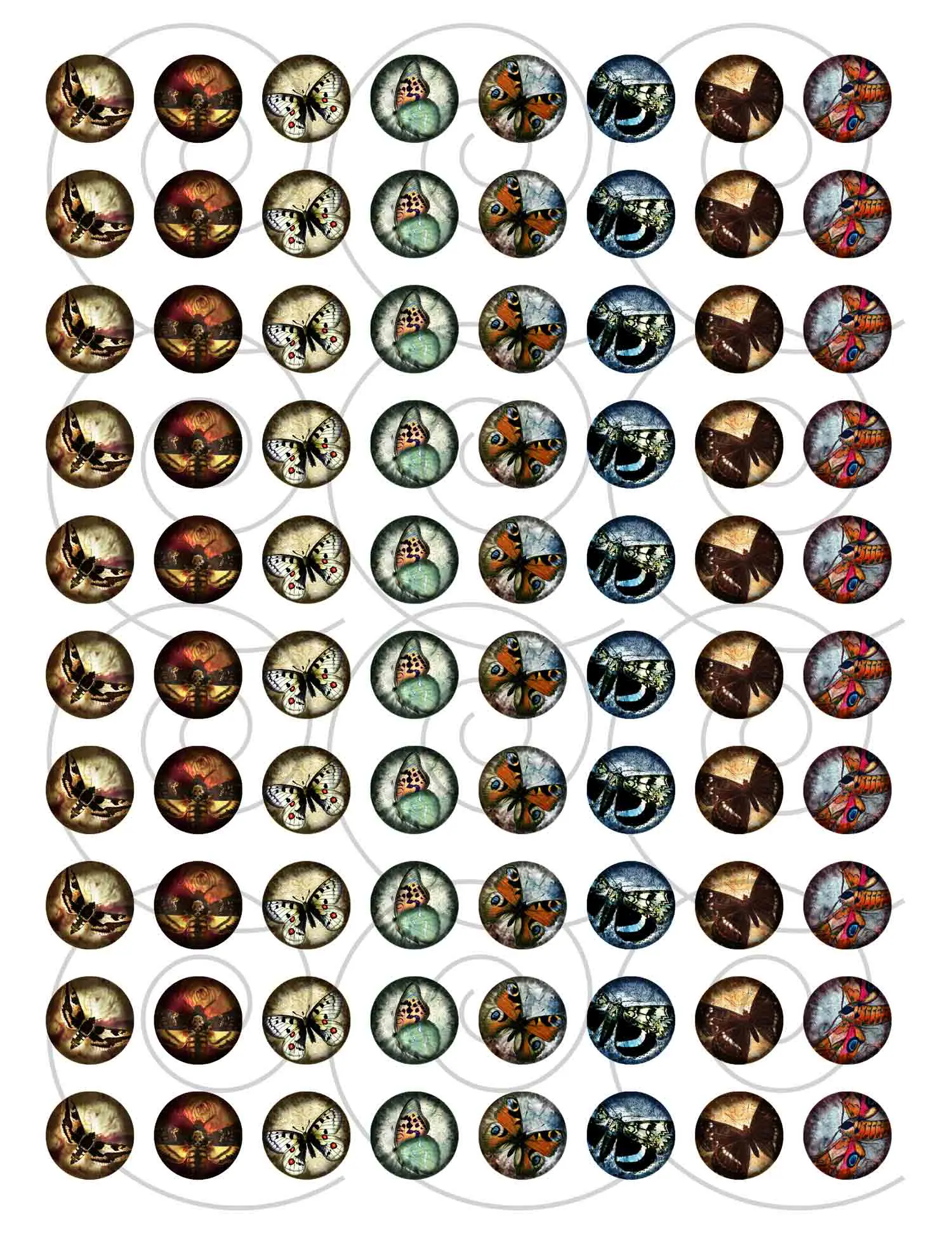 vintage butterfly.jpg