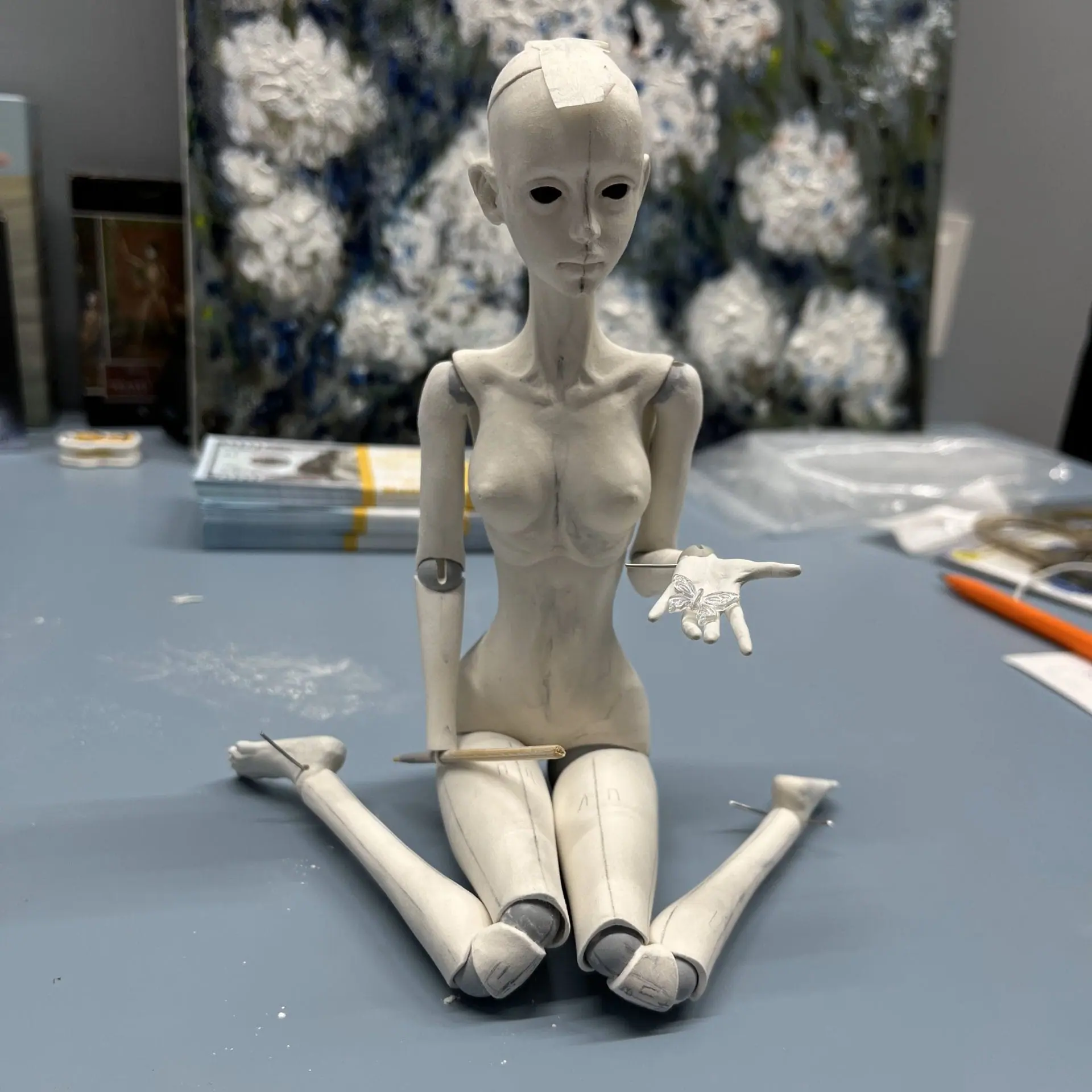 The master class Bjd doll. Just a sketch 3 sketch