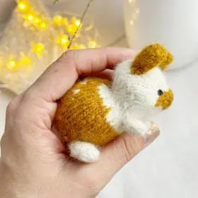 bunny