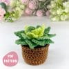 Crochet pattern plant PDF Amigurumi pattern succulent