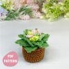 Crochet plant pattern amigurumi succulent