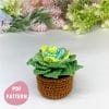 Crochet plant pattern Amigurumi succulent