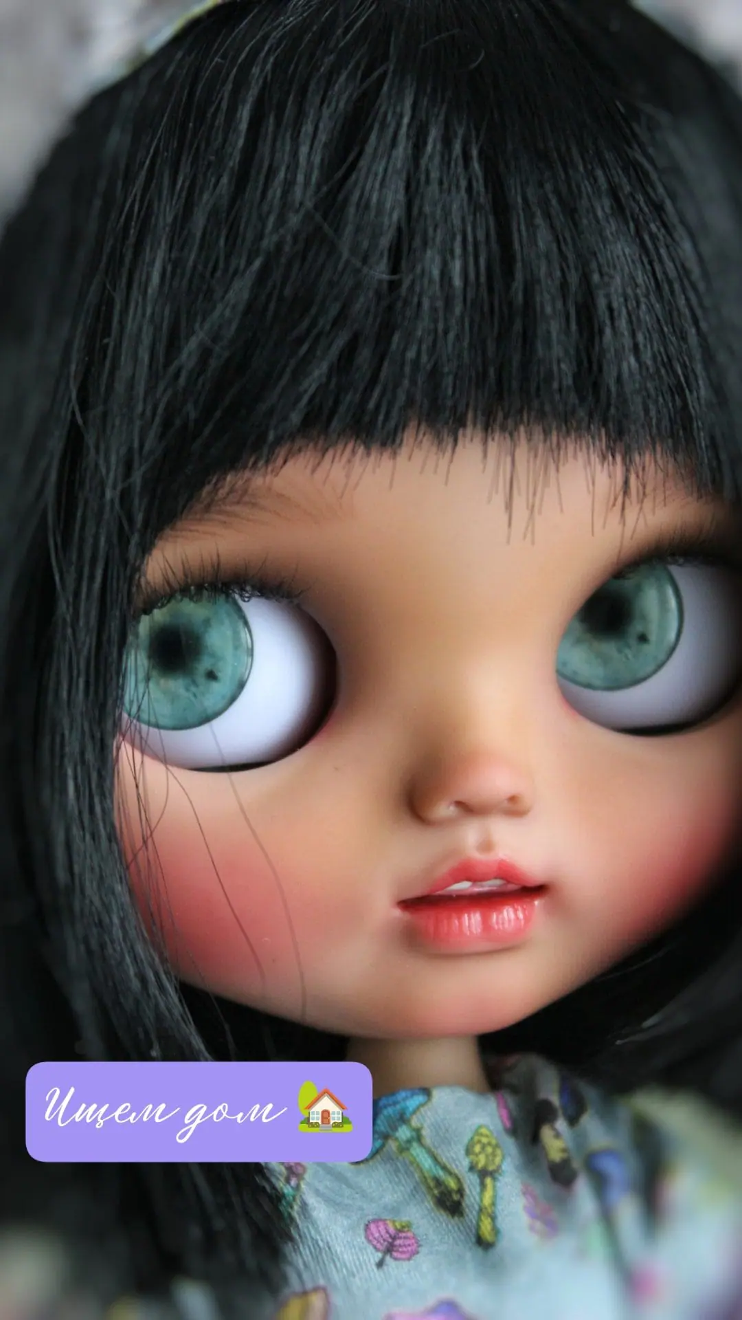 Custom Blythe doll Blythe doll ooak Blythe doll collectors 1 1738932983891.jpg