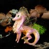 Pink dragon with transparent wings