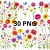 Wild flower clipart