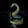 Green snake art work